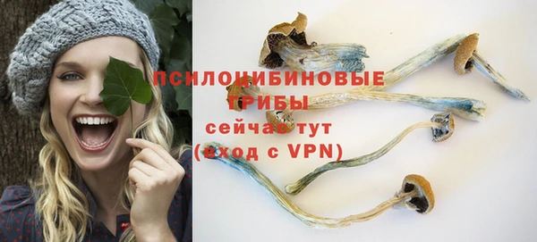 apvp Беломорск