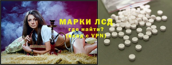 амф Новозыбков