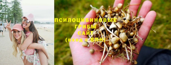 apvp Беломорск